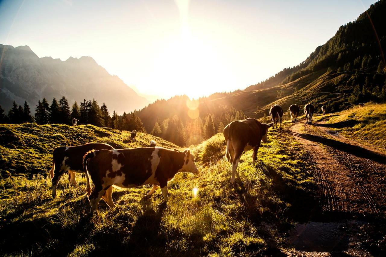 Kaiserhaus Leogang Eksteriør bilde